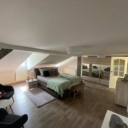 City Center Apartment Katarina Mariánské Lázně المظهر الخارجي الصورة